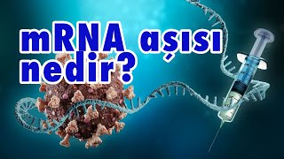 mRNA aşıları nedir [upl. by Anitirhc]