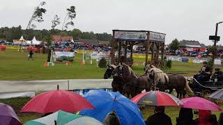 Titanen der Rennbahn Brück 2018 [upl. by Shih50]