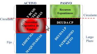 Conclusiones sobre Finanzas Operativas [upl. by Katey219]