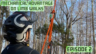 MA Limb walk Ep2 [upl. by Drobman]