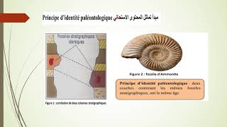 Reconstitution de lhistoire géologique dune région sédimentaire 1 er bac science expérimentale [upl. by Joye]