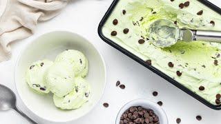 NoChurn Mint Dark Chocolate Chip Ice Cream Recipe [upl. by Carry]