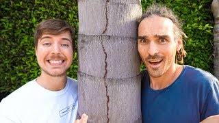 Why Is Mr Beast Planting 20 Million Trees [upl. by Marcello]