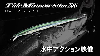 更なるロングモデルへ「Tide Minnow Slim 200（タイドミノ―スリム）」 [upl. by Giffard]