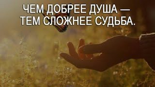 📝Чем добрее душа  тем сложнее судьба…141124 [upl. by Merridie]