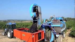 Grape harvesting machine BRAUD Languedoc [upl. by Zarihs]