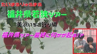 【福井県若狭ツアー・美浜いちご狩り編】たいまるりゅうまる福井県への旅行！福井県ツアー最終に！何かが起こる！ [upl. by Caton606]