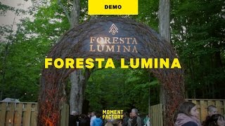 Foresta Lumina  An Enchanted Night Walk From Park to Illuminated Forest [upl. by Repinuj]