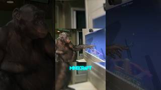 This Monkey Can Play Minecraft 😱 [upl. by Flori342]