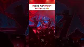 RCB chants lit up Alan Walkers Bengaluru concert 🔥 shorts rcb [upl. by Shelia]