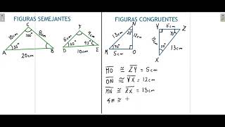 8° Figuras semejantes y figuras congruentes [upl. by Leyes974]