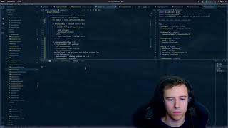 Coding a dialog system for a GAME in Nim programming gamedev coding gamedevelopment [upl. by Aicenat]