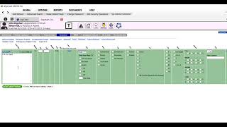 The EHR for OB GYNs See the OB Flowsheet [upl. by Ebenezer]