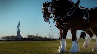 Greatest Super Bowl Commercials Ever Made  Budweiser Clydesdales 911 Tribute [upl. by Bernj]