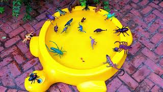 Meet the Dinosaurs Toys and Splashing Fun in a Turtle Bathtub [upl. by Ashti]