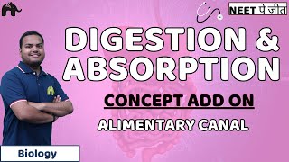 Digestion And Absorption Class 11 NEET Concept Add onAlimentary Canal Biology [upl. by Treve]