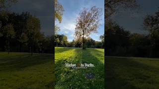 Herbst 🍂 in Berlin 🇩🇪 autumn herbst travel berlin germany dji viralvideo [upl. by Etoile]