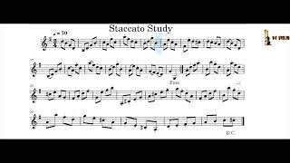 Staccato Study Violin Tempo 607080100 Honeyman Tutor l V4 Violin l Sibin S S [upl. by Lleddaw465]