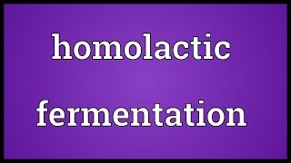 Homolactic fermentation Meaning [upl. by Ronica]