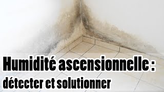 Humidité ascensionnelle  explications identification et solutions [upl. by Eihcra]