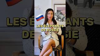 La Russie est la patrie des éléphants 🐘🇷🇺 russe russie [upl. by Dana491]