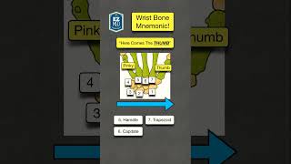 Carpal Wrist Bone MNEMONIC Anatomy shorts [upl. by Fullerton]