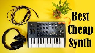 Best Cheap Synthesizer  Top 5 Cheap Analogue Synthesizers [upl. by Karla]