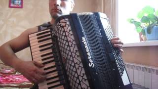 Vincente Fiorino  Blue Canary accordion version [upl. by Herculie]