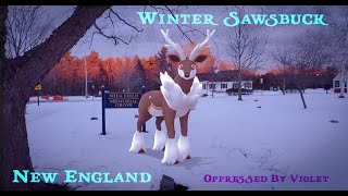 ❄ Majestic Winter Sawsbuck  Pokémon Go LoFi Chill Music [upl. by Aneehsyt25]