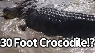 30 Foot Crocodile Seen in Borneo [upl. by Iel]