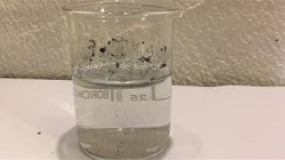 The extraction of microplastics from water using ferrofluids [upl. by Hefter771]