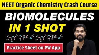 BIOMOLECULES in One Shot  All Concepts Tricks amp PYQs  Class 12  NEET [upl. by Chrysa]