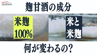 【おいしさ分析】「米麹１００％」VS「米麹＋米」！その違いはコク甘と麹菌量にあり！ [upl. by Vladamar885]