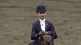 2024 UPHA CH 14 Spring Premier Heidi amp Gus in WT Saddle Seat Equitation 11 amp Under Championship [upl. by Waldon]