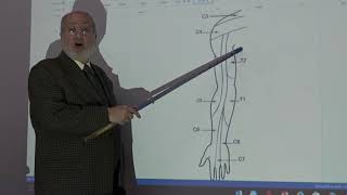 Anatomy of upper limb 62  Dermatomes amp myotomes   by Dr Wahdan [upl. by Tannie]