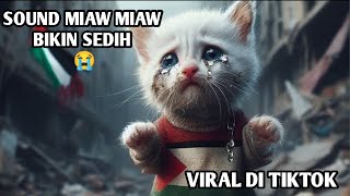 Miaw Miaw Sad Song  Lagu Yang Bikin AnakAnak Menangis  Viral di Tiktok [upl. by Abbye]