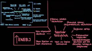 Bipolar Bozukluğun Teşhisi Sağlık Akıl Sağlığı Psikoloji  Akıl Sağlığı [upl. by Linn]