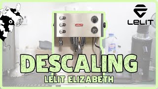 Descaling your Espresso Coffee Machine  Lelit Elizabeth [upl. by Malkah]