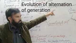 Evolution of alternation of generation [upl. by Hartill]