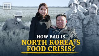 North Korea’s food crisis How hungry are people in the hermit kingdom [upl. by Torry681]