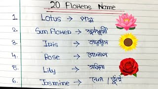 20 টি ফুলের বাংলা ও ইংরেজি নাম  20 Flower Names In English And Bengali  দেশ বিদেশী ফুলের নাম [upl. by Haswell]