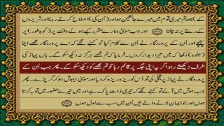 QURAN PARA 9 JUSTONLY URDU TRANSLATION WITH TEXT HD FATEH MUHAMMAD JALANDRI [upl. by Enytsuj]