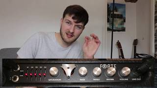 Henriksen Forte Tube Amplifier Unboxing First Impressions and Review [upl. by Mehitable]