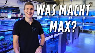 Was macht Max  PlanktonPlus Aquaristik [upl. by Malchy]