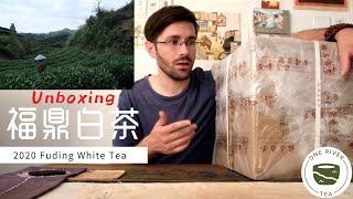 Unboxing 2020 Fuding White Tea [upl. by Leynad607]