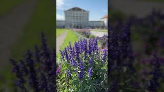 Nymphenburg Palace Munich August 2nd 2024 [upl. by Atikin]