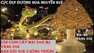 Sau 3 Rồng thiênglộ thêm 9 cây Mai mạ vàng 24K toàn thân cực đẹp ở đường hoa Nguyễn Huệ [upl. by Dreher]