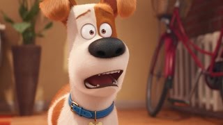 The Secret Life of Pets Trailer 3 [upl. by Stamata]