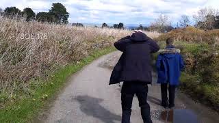 Our encounter with the cows at Yate Fold  All The Footpaths  BOL 177 181 [upl. by Nayab429]