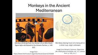 What were monkeys doing in Ancient Greece and Rome [upl. by Ellimahs]